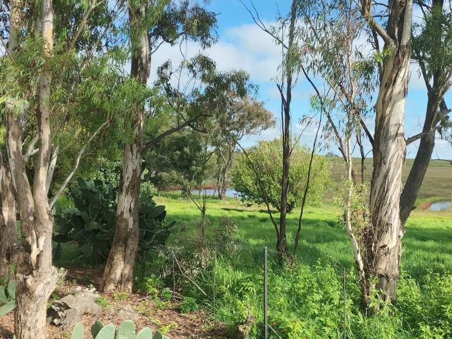 4 Bedroom Property for Sale in Bethlehem Rural Free State